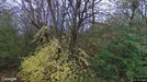 Lejlighed til leje, Brønshøj, &lt;span class=&quot;blurred street&quot; onclick=&quot;ProcessAdRequest(1262776)&quot;&gt;&lt;span class=&quot;hint&quot;&gt;Se vej-navn&lt;/span&gt;[xxxxxxxxxx]&lt;/span&gt;